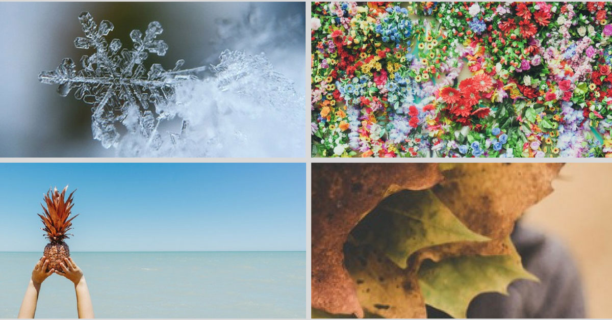 4 image of the seasons with snow flake, flowers, pineapple at beach, fall leaves.