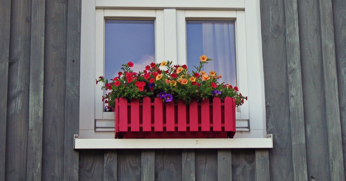 House window with flower box.