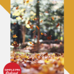 autumn leaves falling with text overlay "Autumn Pinterest Trends"