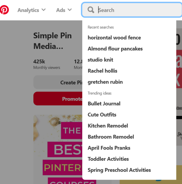 screenshot of using Pinterest search feature.