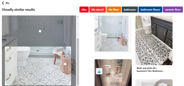 screenshot of Pinterest visual search function.