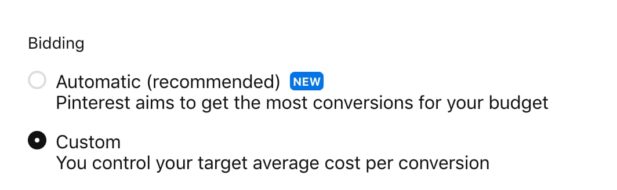 Pinterest ads set up for bidding options.