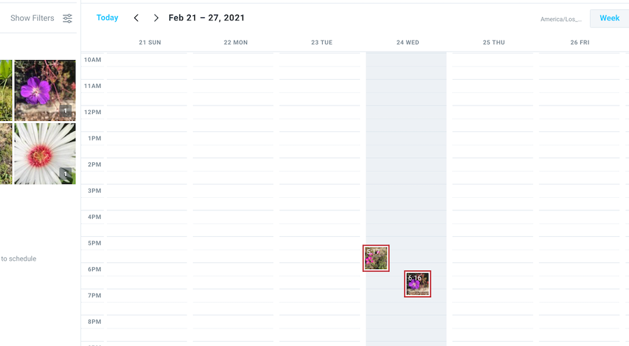 screenshot of Later social media schedule tool.