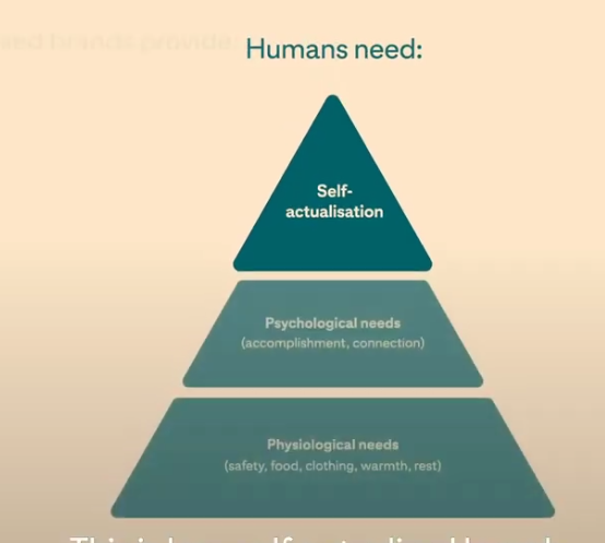 pyramid of Maslow's hierarchy of needs.