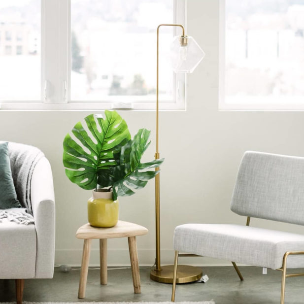 living room scene with gray couch, house plant and tall lamp.