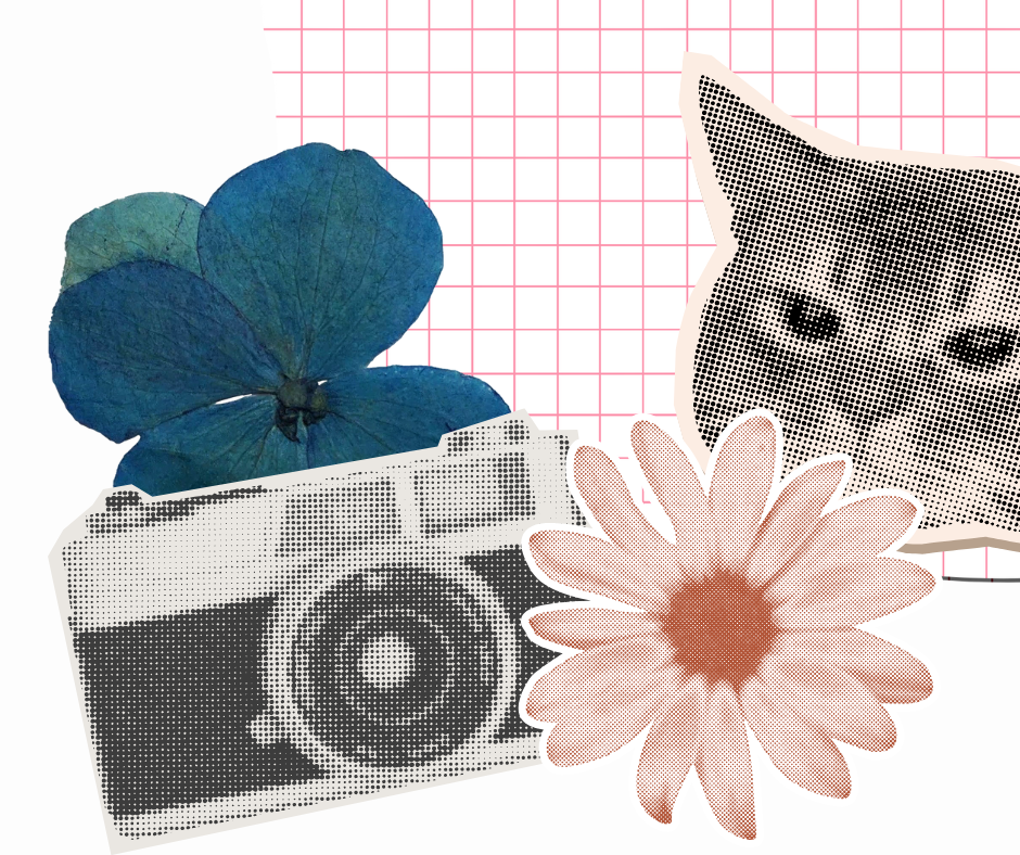 Image shows a collage with a cat, camera, and flowers.